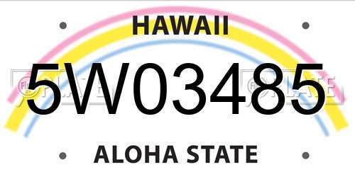 5W03485 Hawaii License Plate