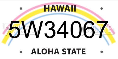 5W34067 Hawaii License Plate