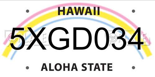 5XGD034 Hawaii License Plate