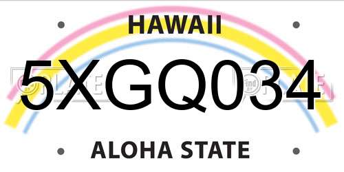 5XGQ034 Hawaii License Plate