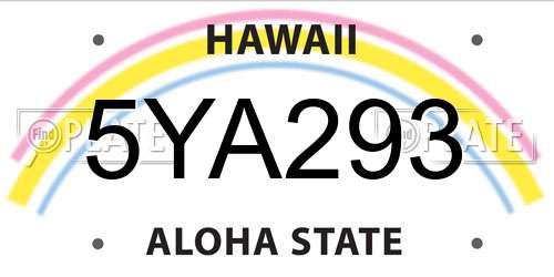 5YA293 Hawaii License Plate