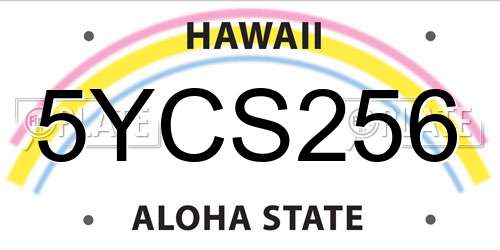 5YCS256 Hawaii License Plate