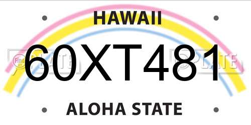60XT481 Hawaii License Plate