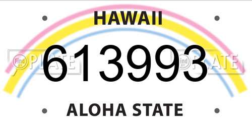 613993 Hawaii License Plate