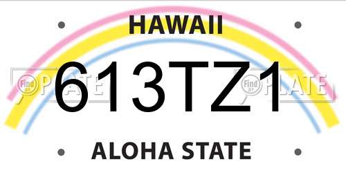 613TZ1 Hawaii License Plate