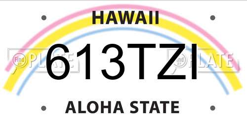 613TZI Hawaii License Plate