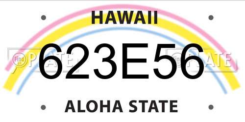 623E56 Hawaii License Plate