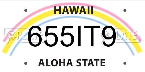 655IT9 Hawaii License Plate