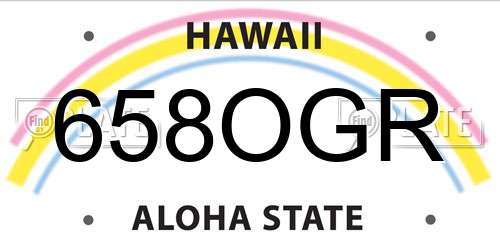 658OGR Hawaii License Plate