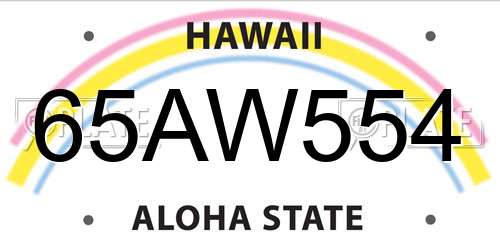65AW554 Hawaii License Plate