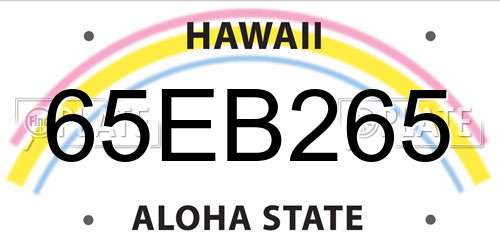 65EB265 Hawaii License Plate