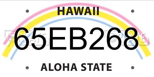 65EB268 Hawaii License Plate
