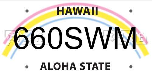 660SWM Hawaii License Plate
