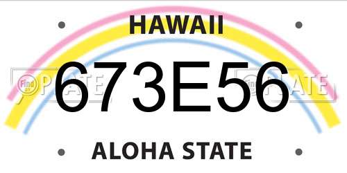 673E56 Hawaii License Plate