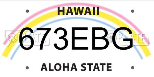 673EBG Hawaii License Plate