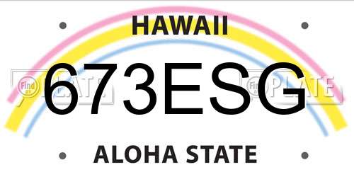 673ESG Hawaii License Plate