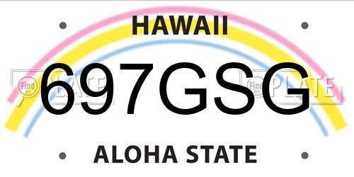 697GSG Hawaii License Plate