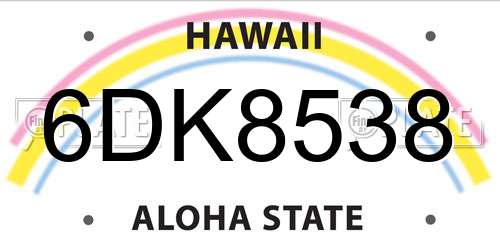 6DK8538 Hawaii License Plate