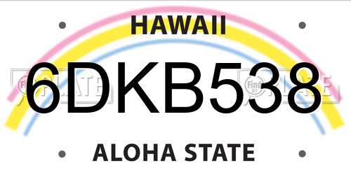 6DKB538 Hawaii License Plate
