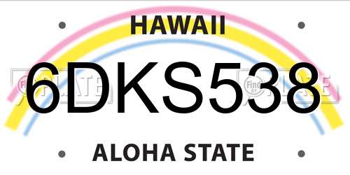 6DKS538 Hawaii License Plate