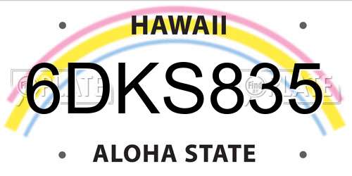 6DKS835 Hawaii License Plate