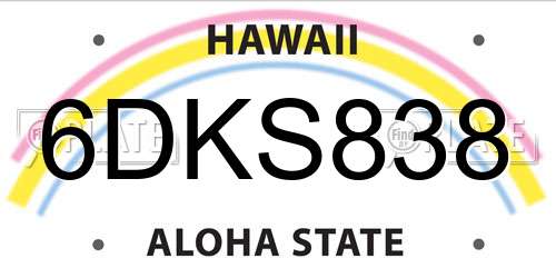 6DKS838 Hawaii License Plate