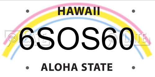 6SOS60 Hawaii License Plate