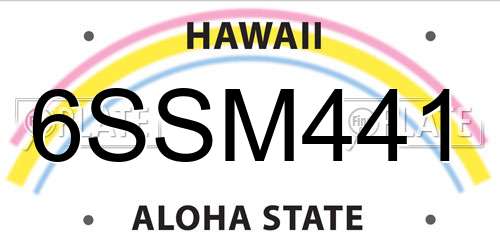 6SSM441 Hawaii License Plate