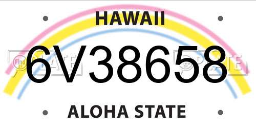 6V38658 Hawaii License Plate