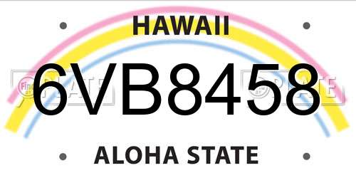 6VB8458 Hawaii License Plate