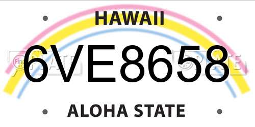 6VE8658 Hawaii License Plate