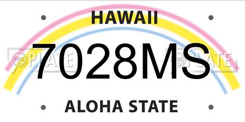 7028MS Hawaii License Plate