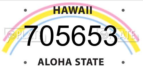705653 Hawaii License Plate