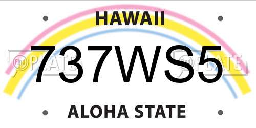 737WS5 Hawaii License Plate