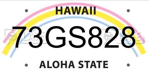 73GS828 Hawaii License Plate