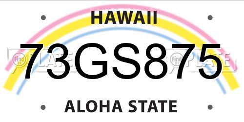 73GS875 Hawaii License Plate