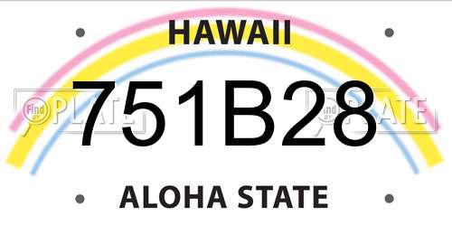 751B28 Hawaii License Plate