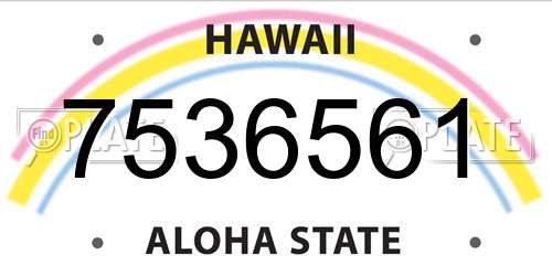 7536561 Hawaii License Plate