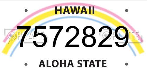 7572829 Hawaii License Plate