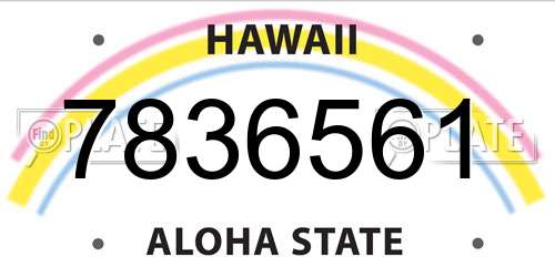 7836561 Hawaii License Plate