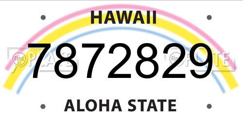 7872829 Hawaii License Plate