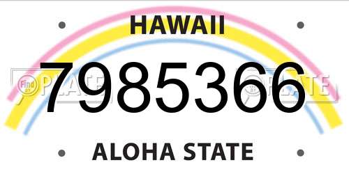 7985366 Hawaii License Plate