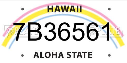 7B36561 Hawaii License Plate