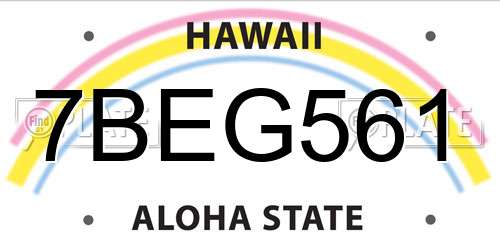 7BEG561 Hawaii License Plate