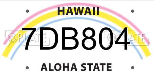 7DB804 Hawaii License Plate
