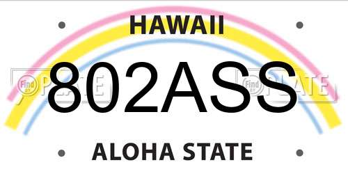 802ASS Hawaii License Plate