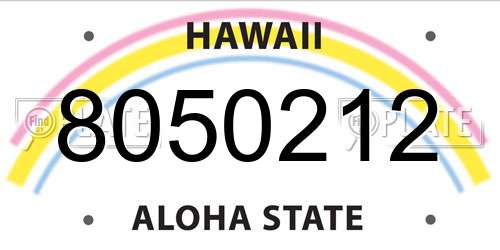 8050212 Hawaii License Plate