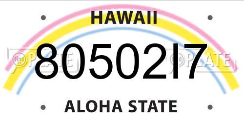 80502I7 Hawaii License Plate