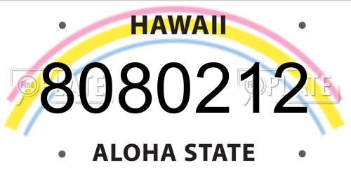 8080212 Hawaii License Plate