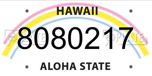 8080217 Hawaii License Plate